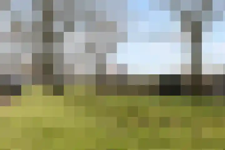 Merwedekade 159 BS Utrecht thumbnail 40