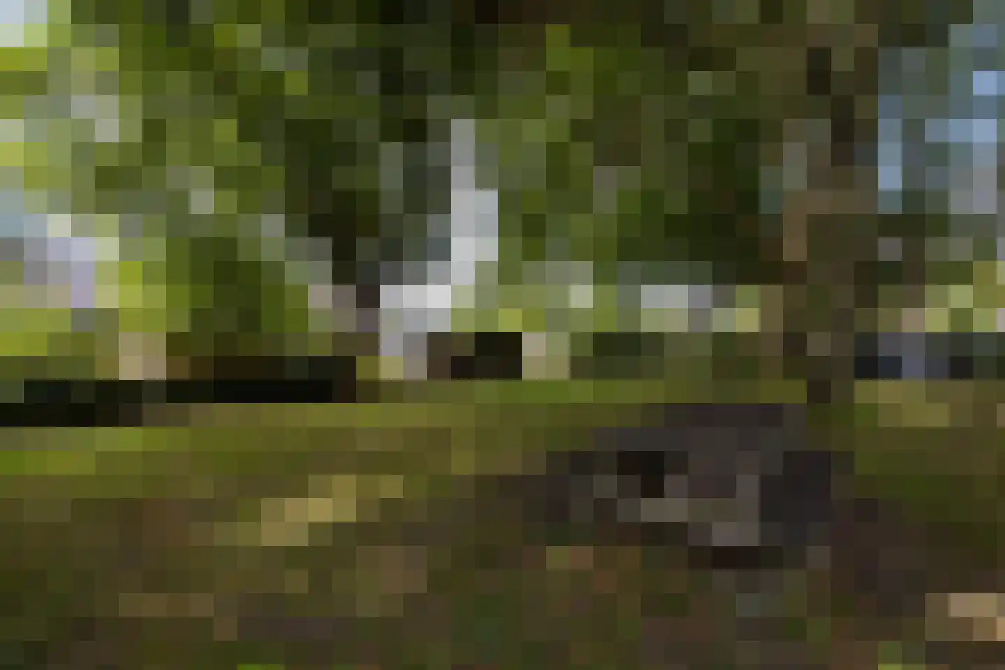 Merwedekade 161 BS Utrecht thumbnail 34