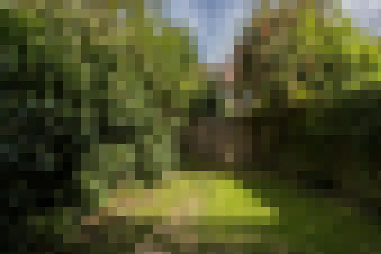Merwedekade 161 Utrecht thumbnail 19