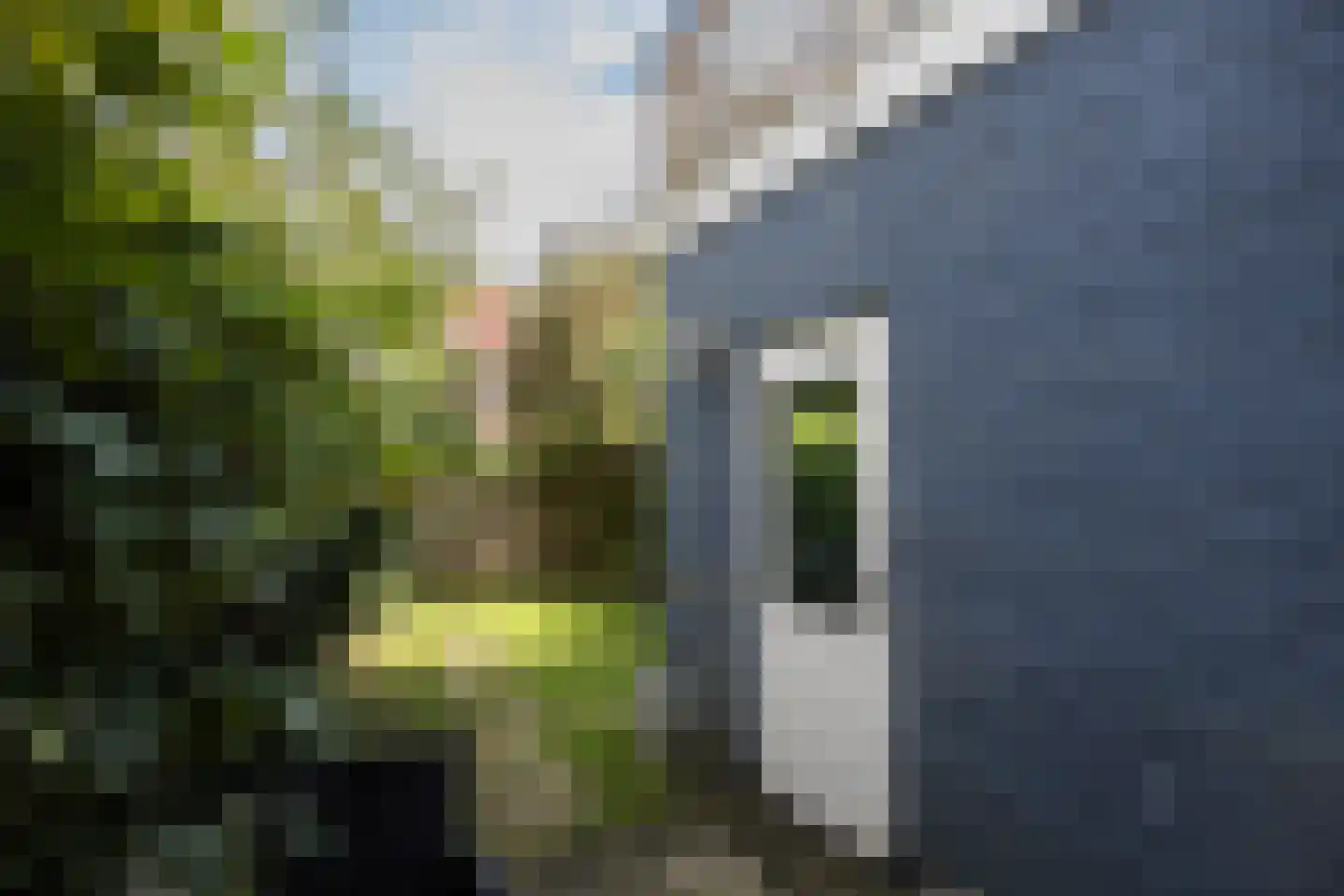Merwedekade 161 Utrecht thumbnail 22