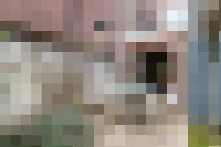 Merwedekade 162 Utrecht thumbnail 11