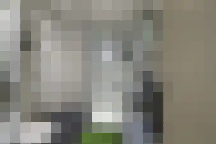 Merwedekade 162 Utrecht thumbnail 14