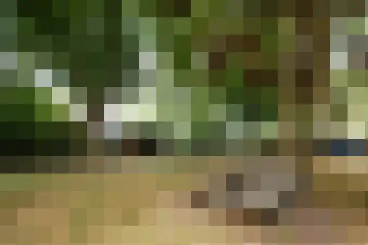 Merwedekade 162 Utrecht thumbnail 18