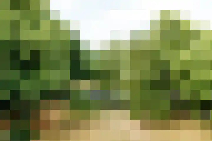 Merwedekade 162 Utrecht thumbnail 20