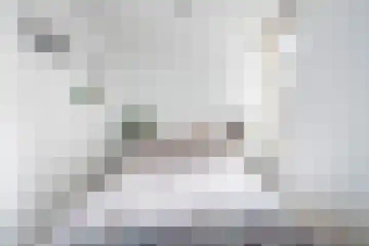 Merwedekade 222 BS1 Utrecht thumbnail 20