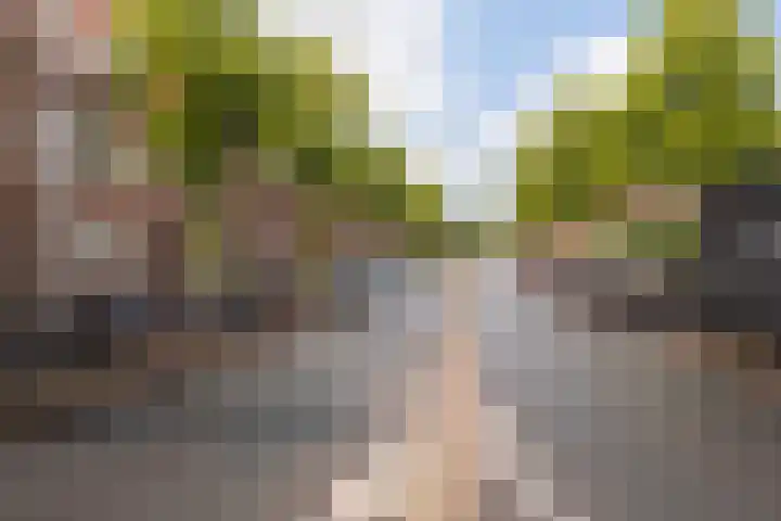Merwedekade 222 BS1 Utrecht thumbnail 23