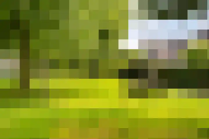 Merwedekade 222 BS1 Utrecht thumbnail 25