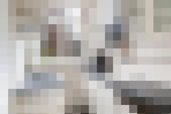 Merwedekade 222 BS1 Utrecht thumbnail 6