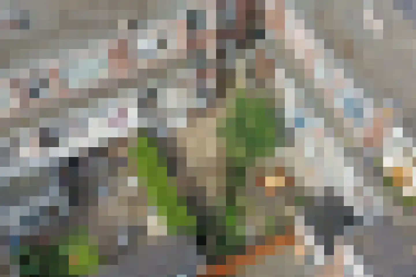 Merwedekade 223 Utrecht thumbnail 24
