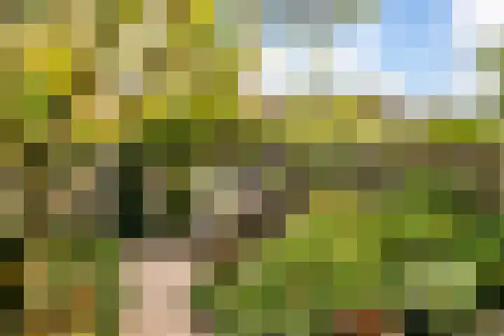 Merwedekade 233 Utrecht thumbnail 18