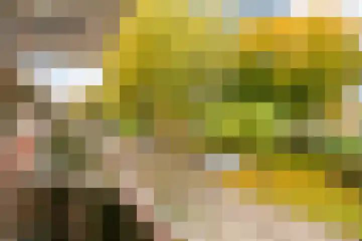 Merwedekade 233 Utrecht thumbnail 24