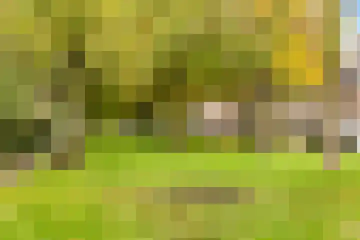 Merwedekade 233 Utrecht thumbnail 33