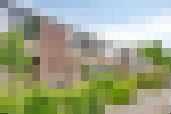 Merwedelaan 11 Dongen thumbnail 10