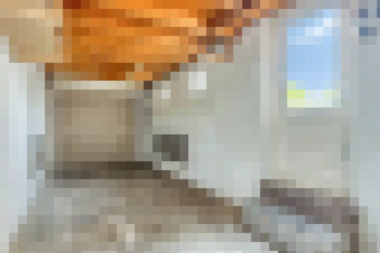 Merwedelaan 18 Bergen op Zoom thumbnail 38