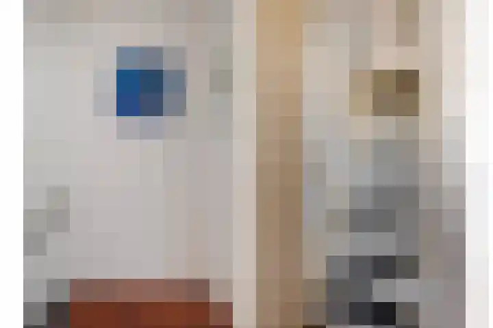 Merwedelaan 23 Veghel thumbnail 10
