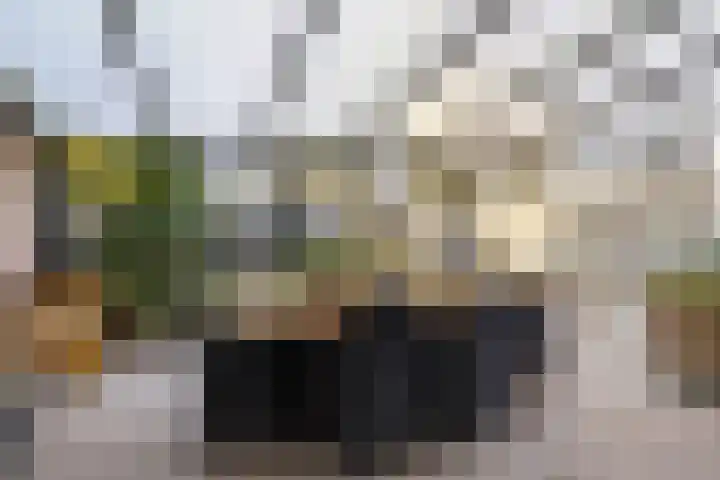 Merwedelaan 23 Veghel thumbnail 30