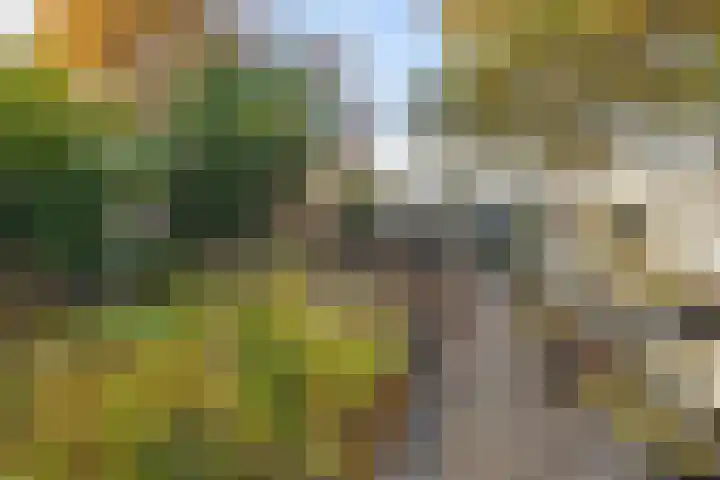 Merwedelaan 23 Veghel thumbnail 33