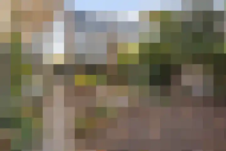 Merwedelaan 23 Veghel thumbnail 34
