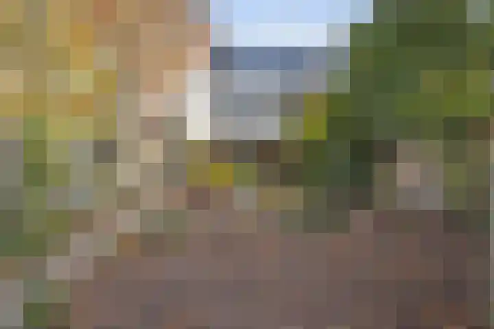Merwedelaan 23 Veghel thumbnail 35