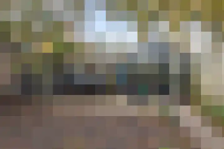Merwedelaan 23 Veghel thumbnail 36
