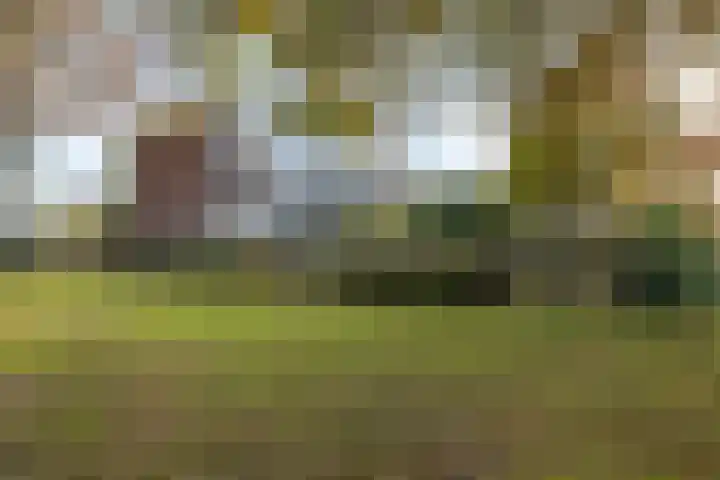 Merwedelaan 23 Veghel thumbnail 37