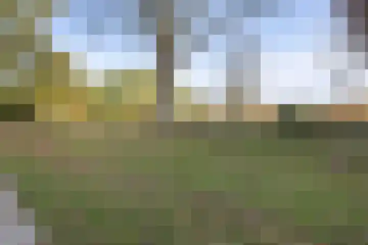 Merwedelaan 23 Veghel thumbnail 38