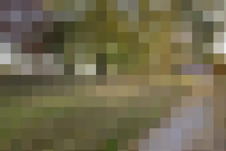 Merwedelaan 23 Veghel thumbnail 39