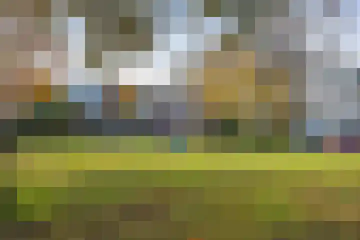 Merwedelaan 23 Veghel thumbnail 40