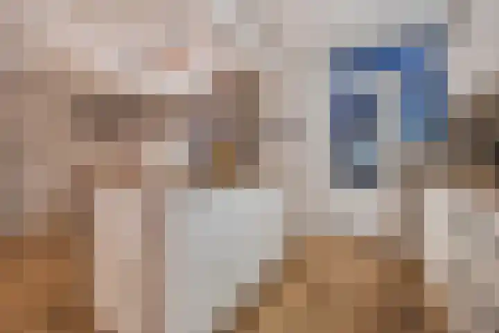 Merwedelaan 24 Terneuzen thumbnail 12