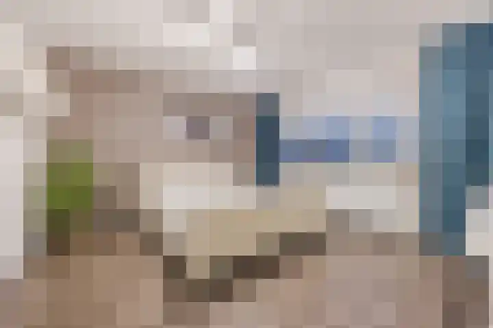 Merwedelaan 24 Terneuzen thumbnail 15