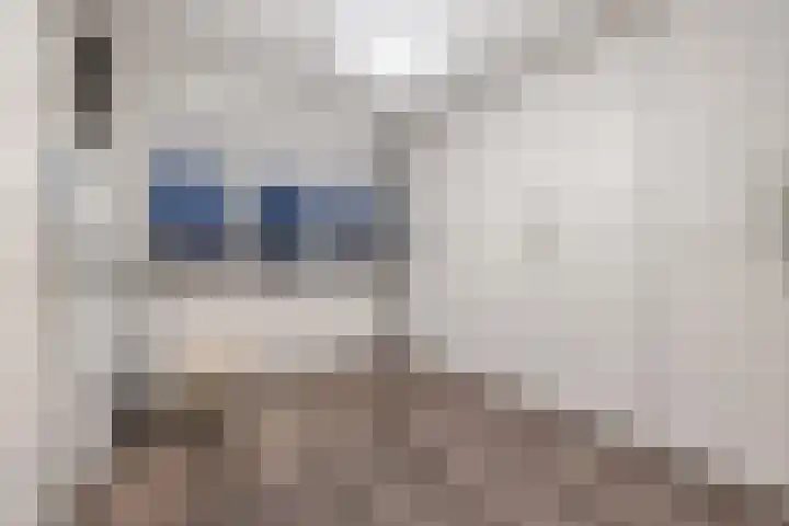 Merwedelaan 24 Terneuzen thumbnail 19