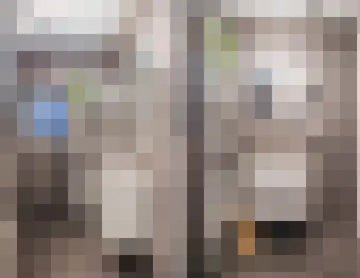 Merwedelaan 24 Terneuzen thumbnail 22
