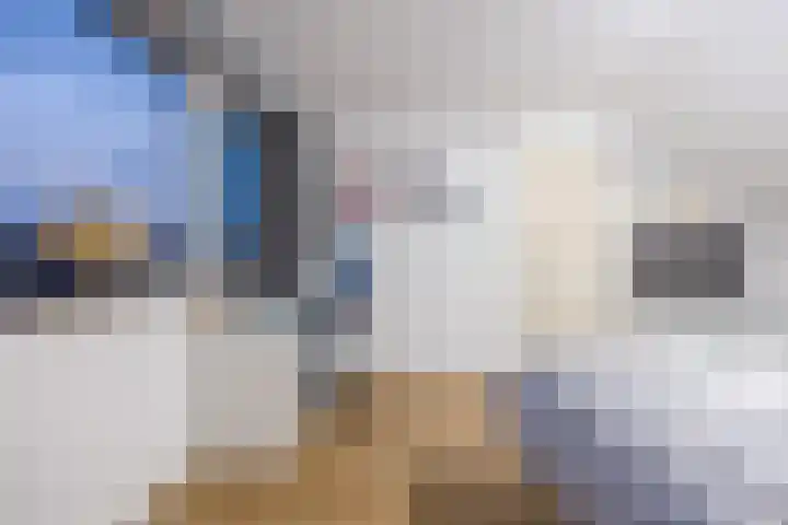 Merwedelaan 24 Terneuzen thumbnail 27