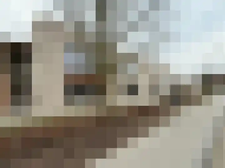 Merwedelaan 24 Terneuzen thumbnail 34
