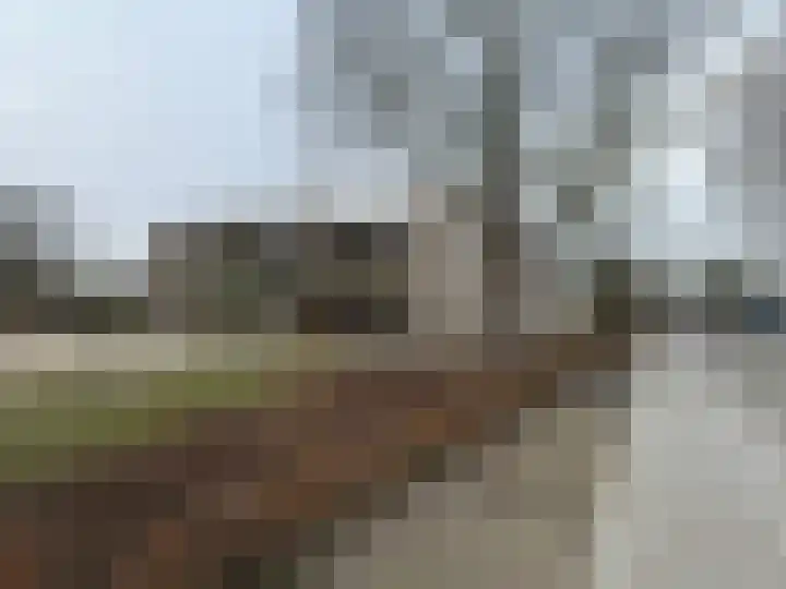 Merwedelaan 24 Terneuzen thumbnail 35