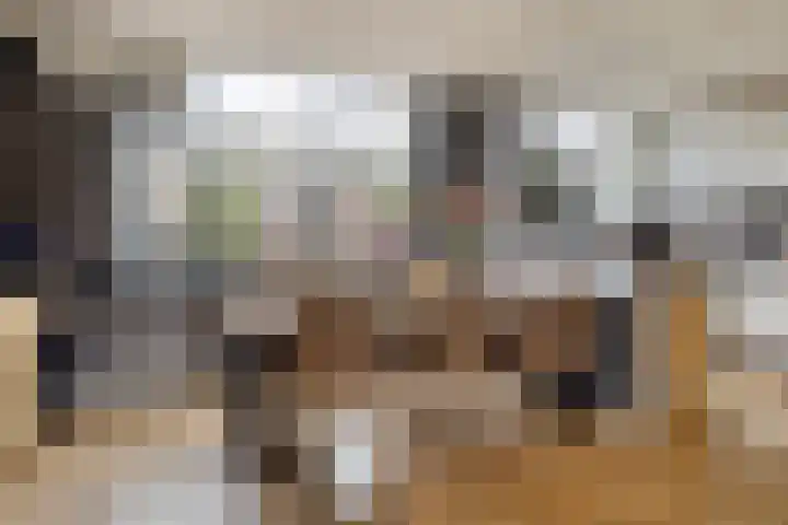 Merwedelaan 28 Terneuzen thumbnail 10