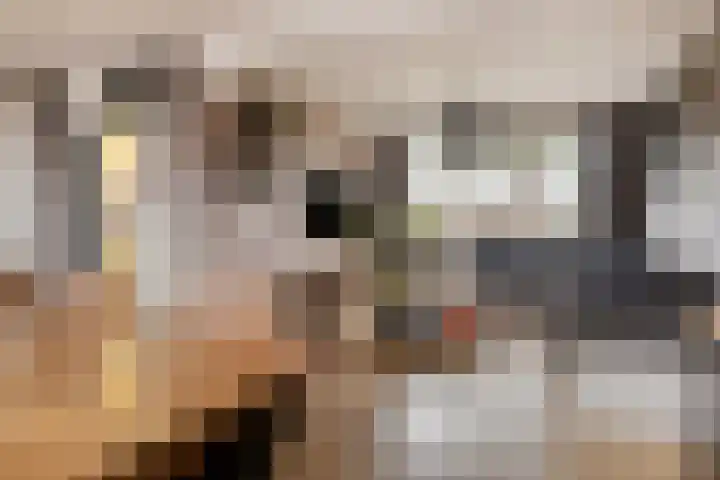 Merwedelaan 28 Terneuzen thumbnail 11