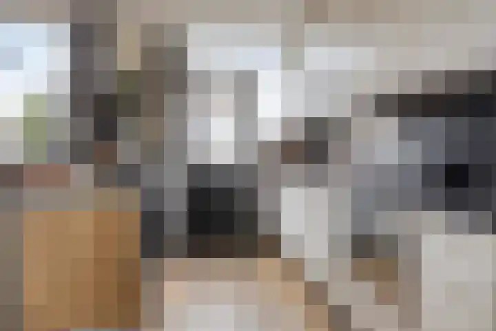 Merwedelaan 28 Terneuzen thumbnail 15