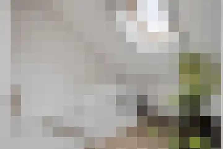 Merwedelaan 28 Terneuzen thumbnail 29