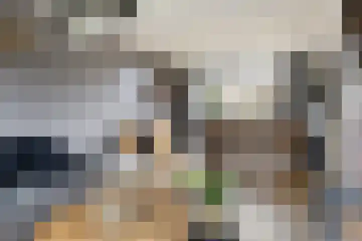 Merwedelaan 28 Terneuzen thumbnail 9