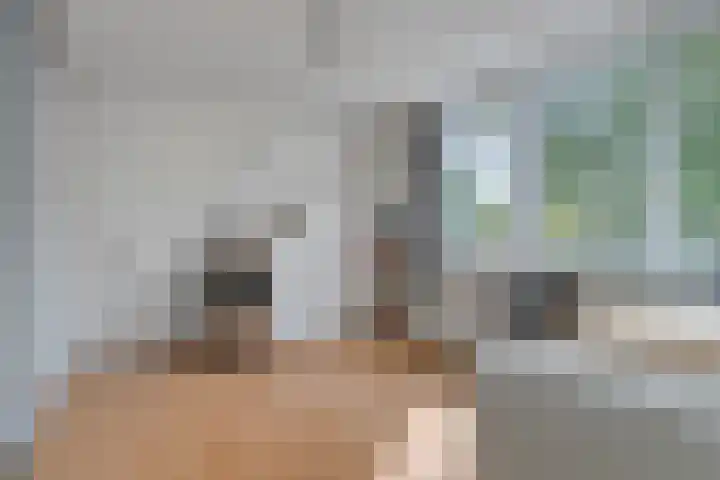 Merwedelaan 4 Terneuzen thumbnail 17