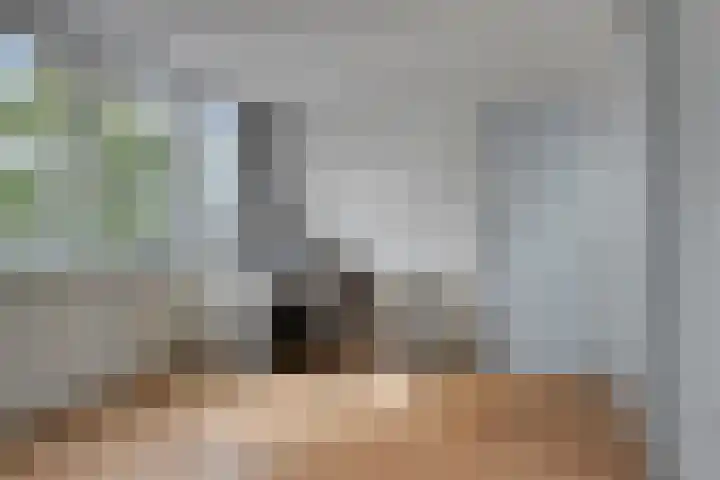Merwedelaan 4 Terneuzen thumbnail 18