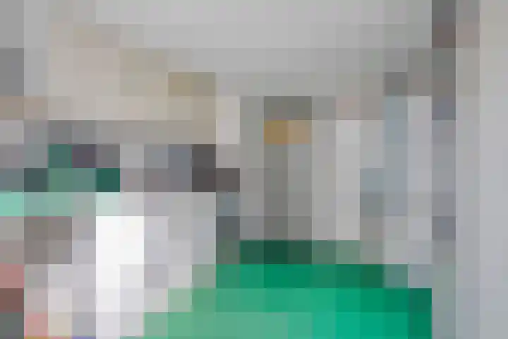 Merwedelaan 4 Terneuzen thumbnail 25