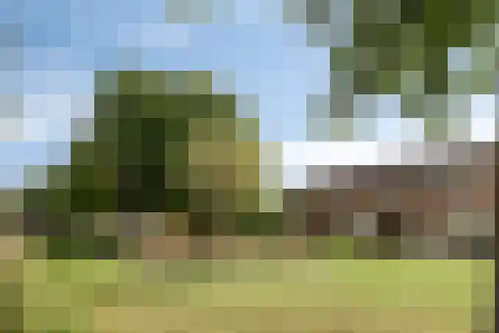 Merwedelaan 4 Terneuzen thumbnail 26