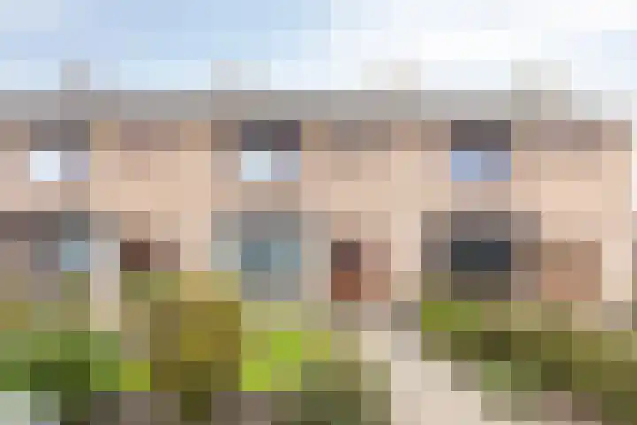Merwedelaan 40 Bergen op Zoom thumbnail 33