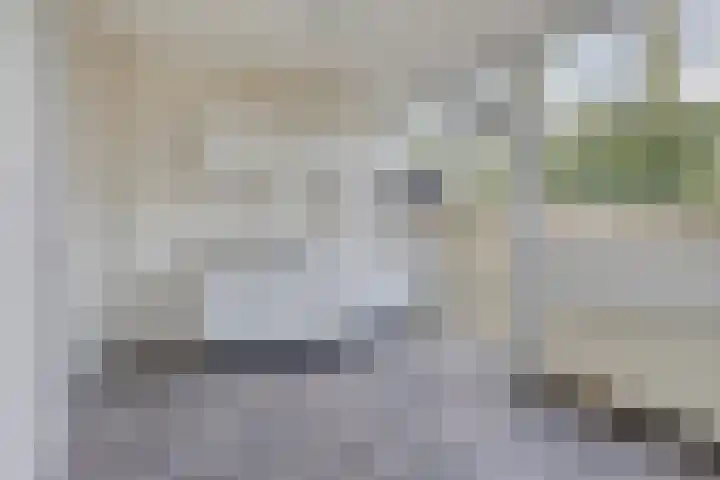 Merwedelaan 43 Veghel thumbnail 10