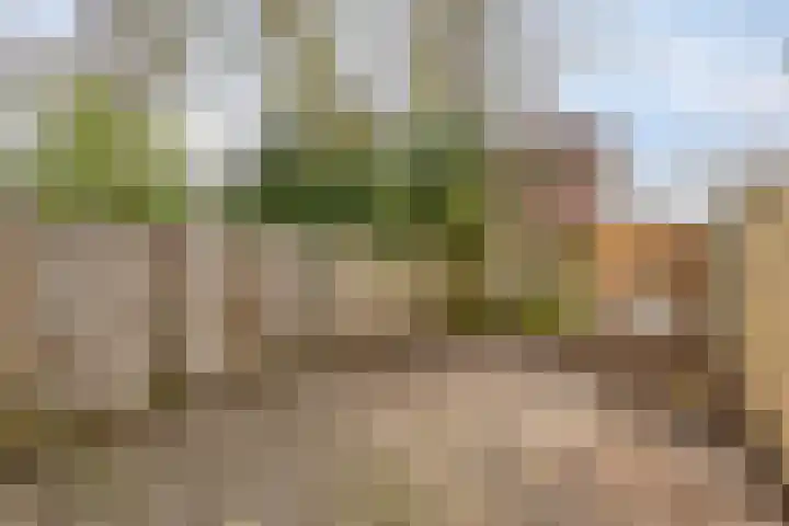 Merwedelaan 43 Veghel thumbnail 29