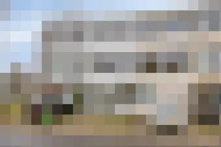 Merwedelaan 43 Veghel foto 3