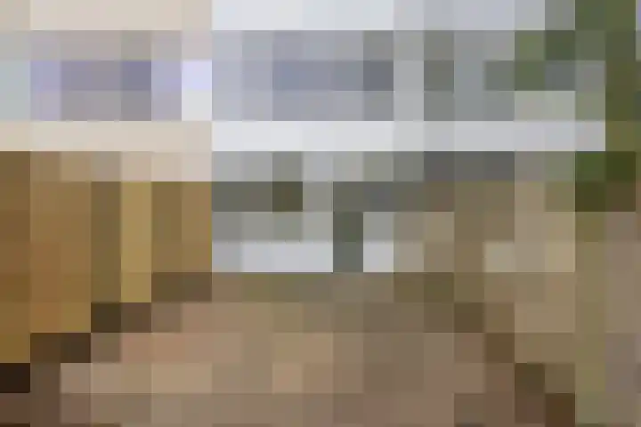 Merwedelaan 43 Veghel thumbnail 30