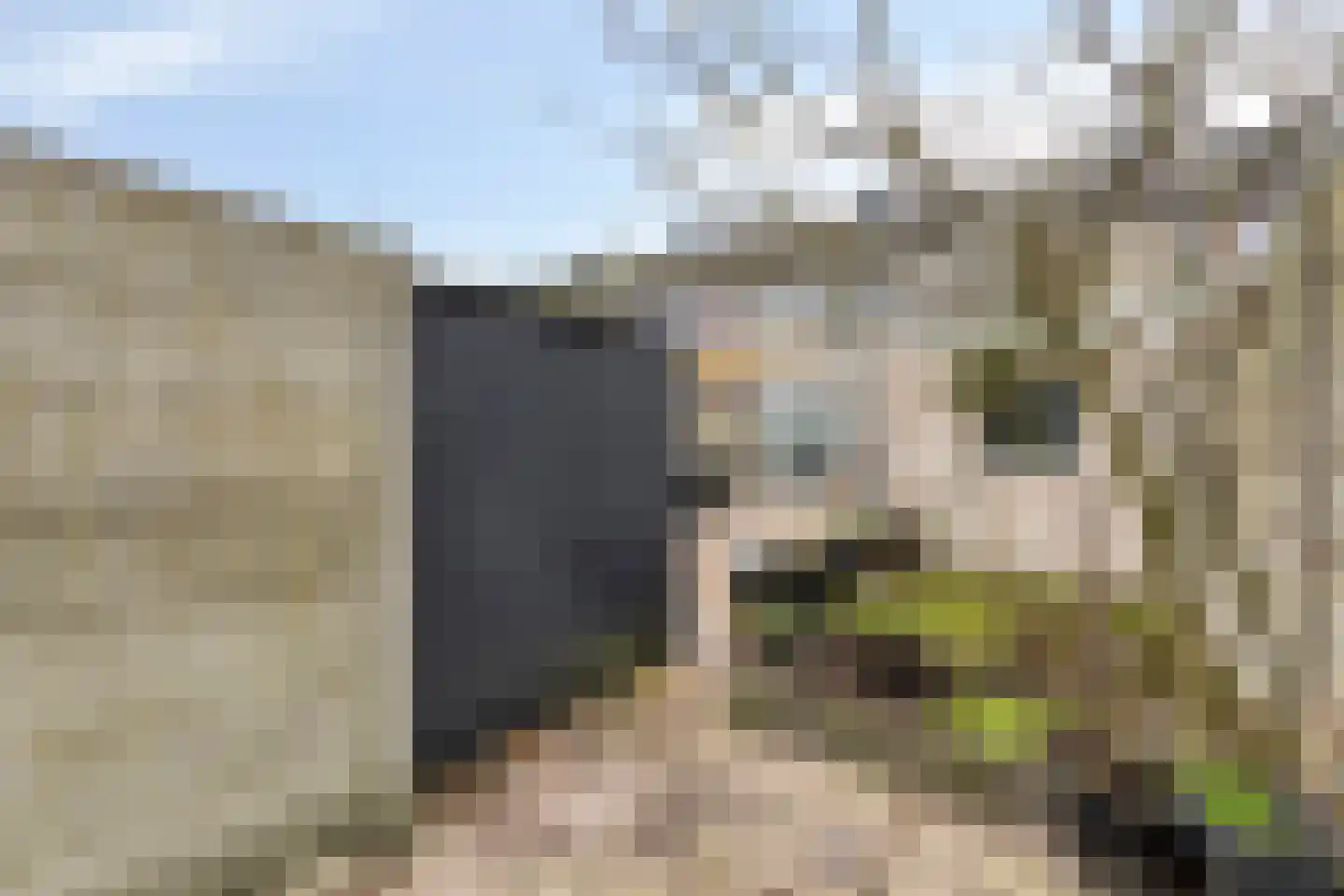 Merwedelaan 7 Bergen op Zoom thumbnail 37